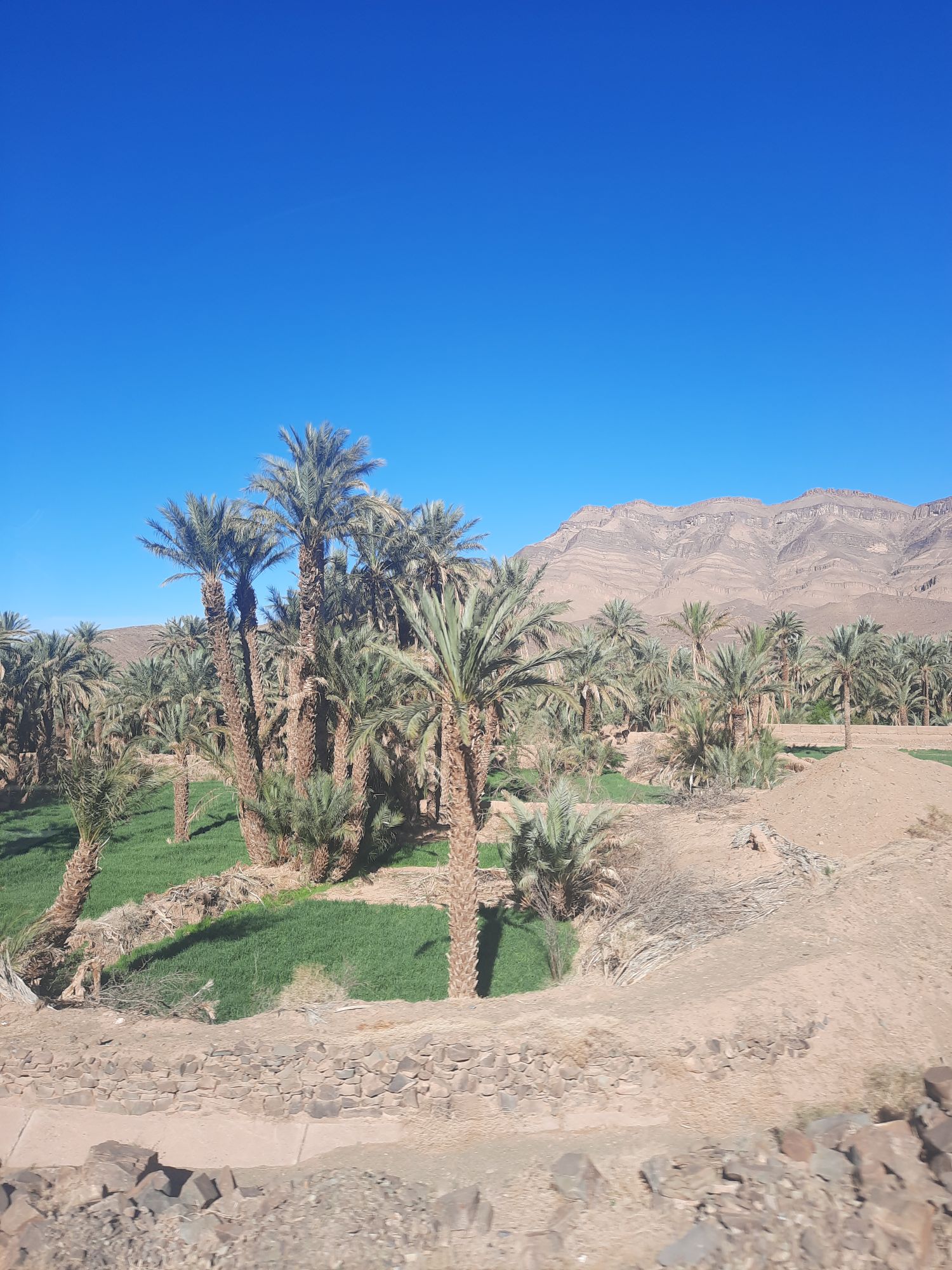 La vallée du Drâa au Maroc à vélo