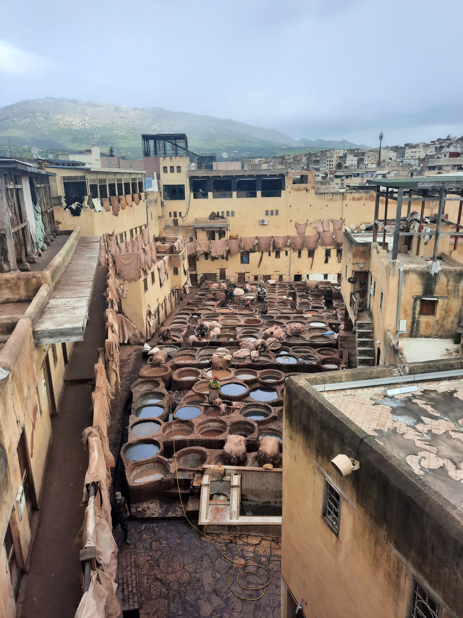 Fès : immersion dans la plus grande médina du monde