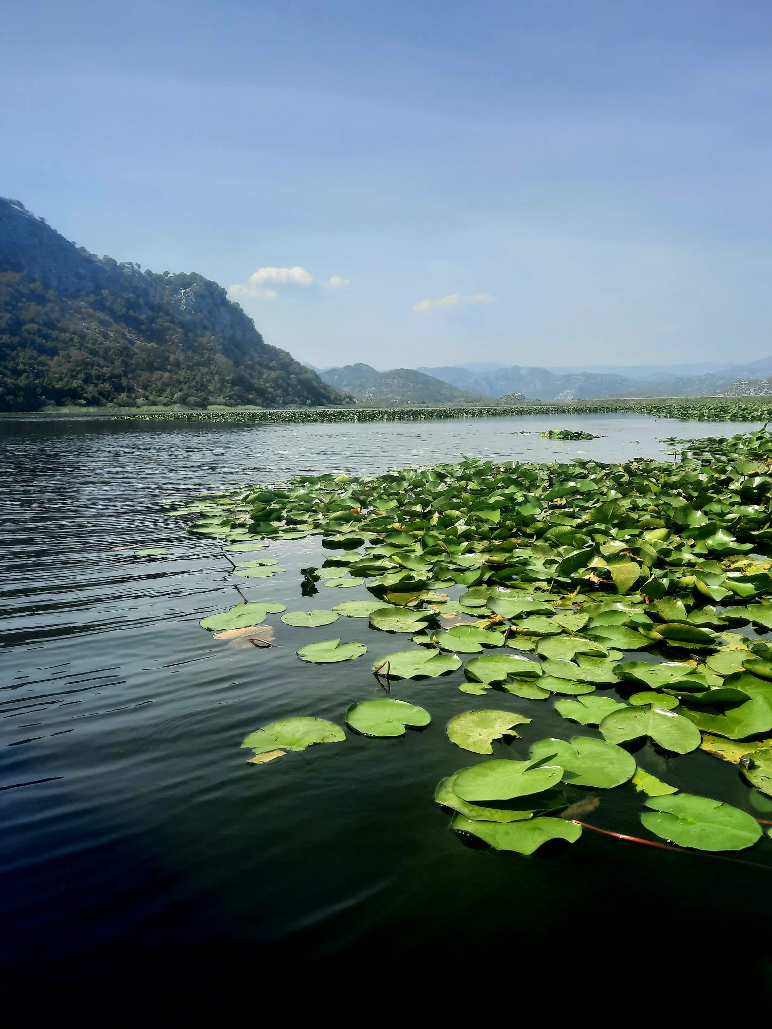 Bateau sur le lac Skadar: notre récit et retour d’expérience
